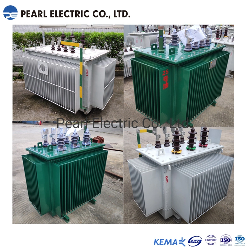 Peo-300kVA 11kv High Efficiency Oil-Immersed Distribution Transformer