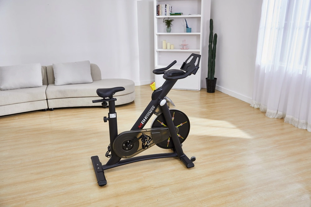 5819 Spin Bike Home Fitness Exercise Bike Leg Mbh