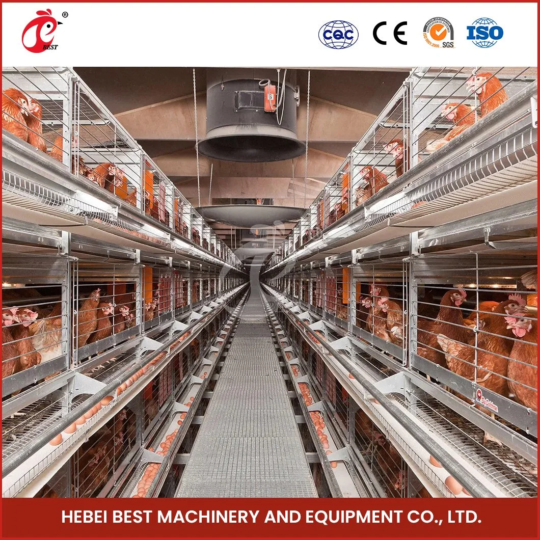 Bestchickencage H Tipo Breeder jaula capa jaula China Pollo portátil Proveedor de Coop de capa OEM Chicken Móvil de alta tasa de utilización personalizada Casa de capa