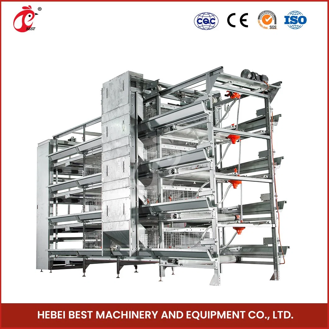 Bestchickencage China Plastic Hen House Factory H Frame Automatic Boriler Cages Sample Available Applicable Restaurant Cock Chicken Cage