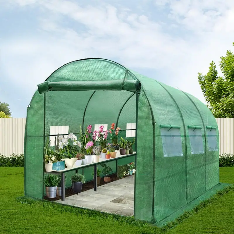 Hot Sale Small Size Plastic Film Indoor Greenhouse Garden Mini China Manufacturer with Hydroponic System