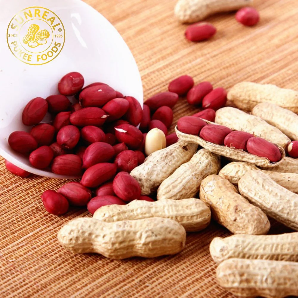 Peyted Peanut in Shell/Red Skin Peanut in Shell/Premium Quality من الصين