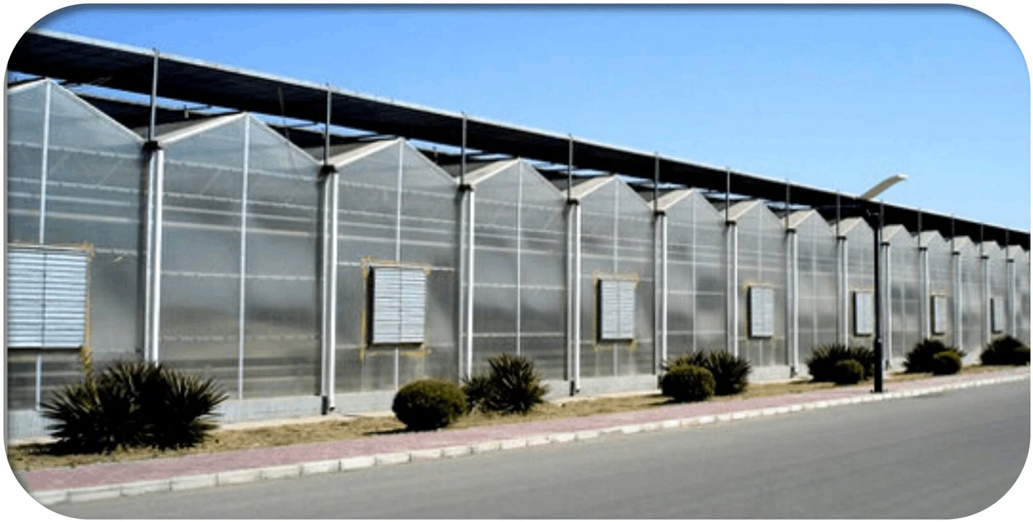 Hot Galvanized Pipe Poly Carbonate Greenhouse with Shading and Automatic Irrigation System