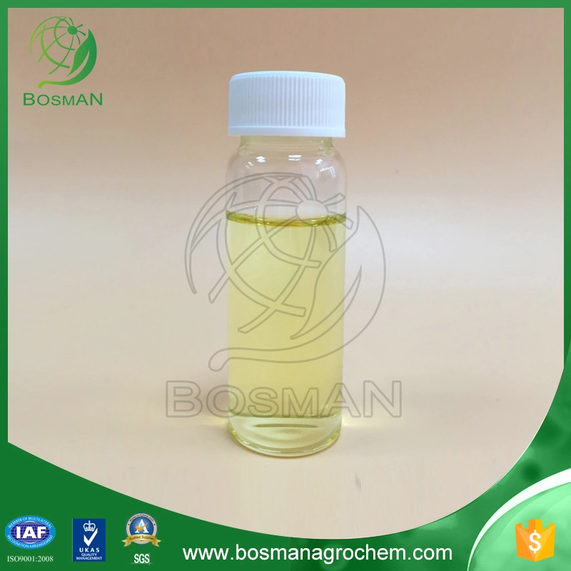 Best herbicide for soybean Clomazone 480g/L EC