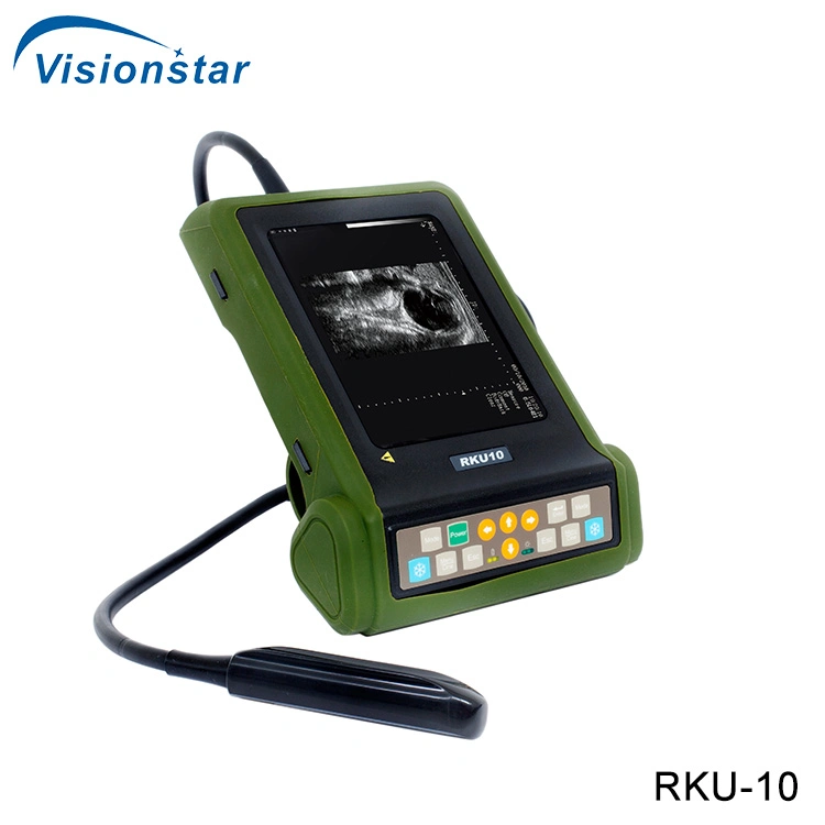 KX-5200 volldigitaler B-Mode-Ultraschallscanner (Veterinär)