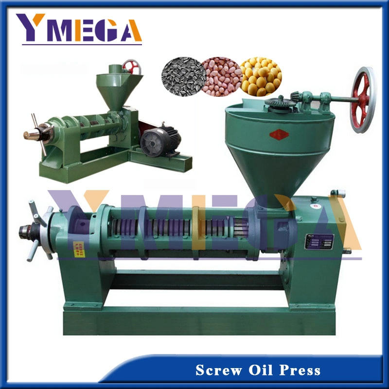 Low Temperature Oil Production Automatic Screw Cold Press