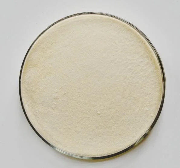 Factory Directly Supply 11138-66-2 Xanthan Gum Food Grade/Xanthan Gum Powder