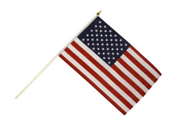2015 Custom Wholesale Hand Flag for Fans with Wood Flag Pole (L-NF01F02034)