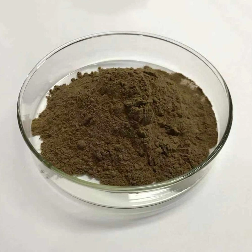 High quality/High cost performance  Pure Bulk Black Garlic Extract Powder