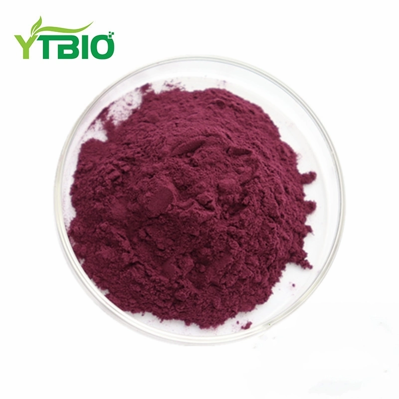 High Quality Blueberry Fd Powder Blueberry Fruit Powder Blueberry