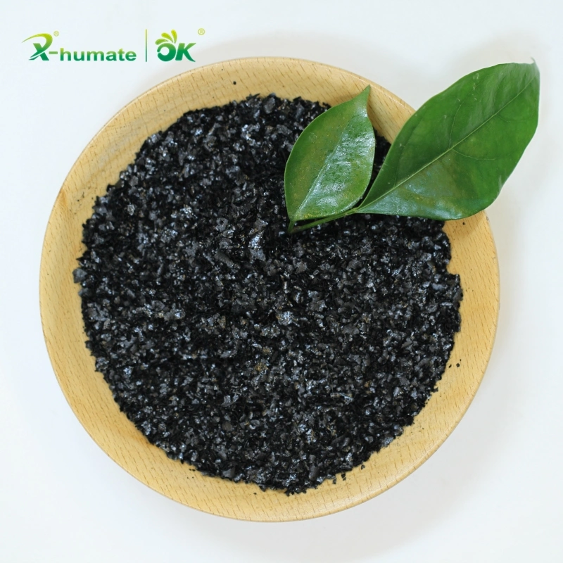 X-Humate Algae Seaweed Extract Flake/Powder Organic Fertilizer