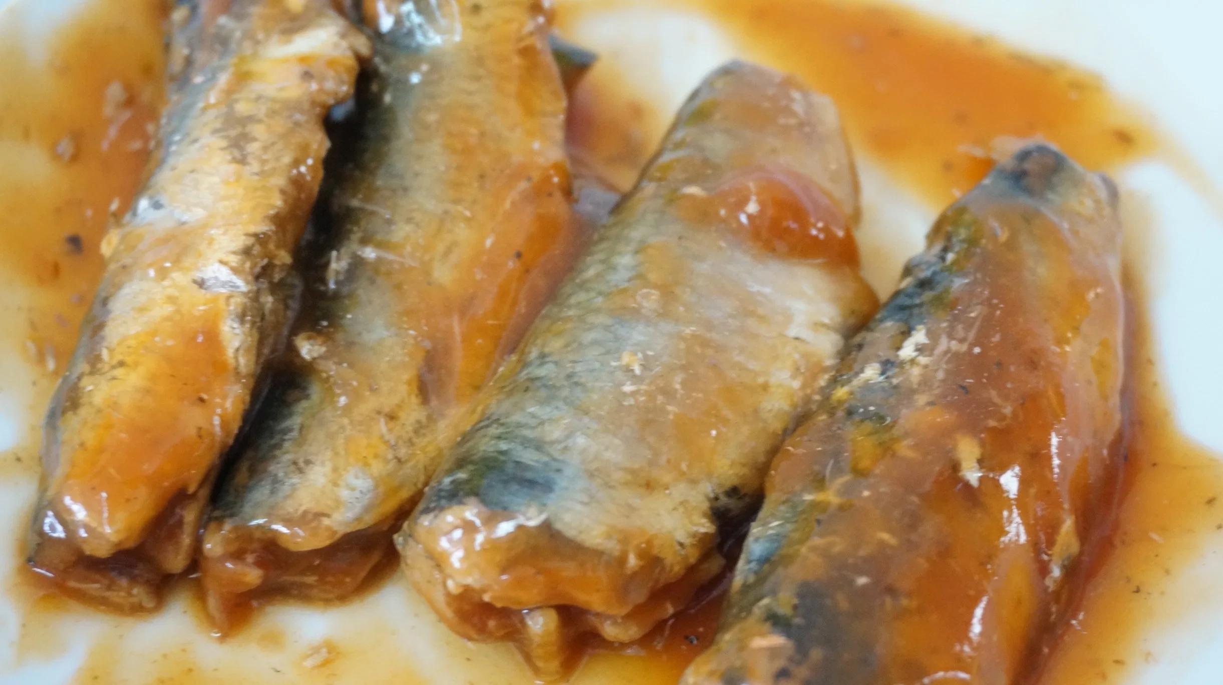 Fresh Meat Canned Sardine in Tomato Sauce and Able to Be Eaten by Pets