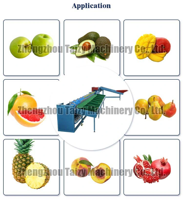 Personalizar o fruto de Batata da motoniveladora vegetais Mango Abacate Sorter classe de peso a máquina