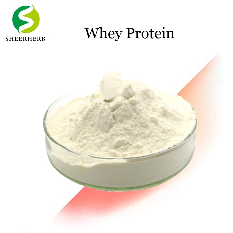 Factory Manufacture Direct Supply Best Whey Protein Isolate Powder CAS 84082-51-9