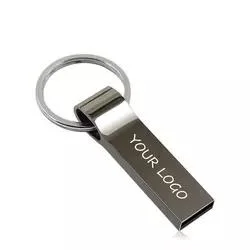 Cadeaux d'entreprise OEM 32 Go de mémoire flash USB Pen Drive USB en métal 32 Go de mémoire flash USB Lecteurs flash Cadeaux d'entreprise populaires