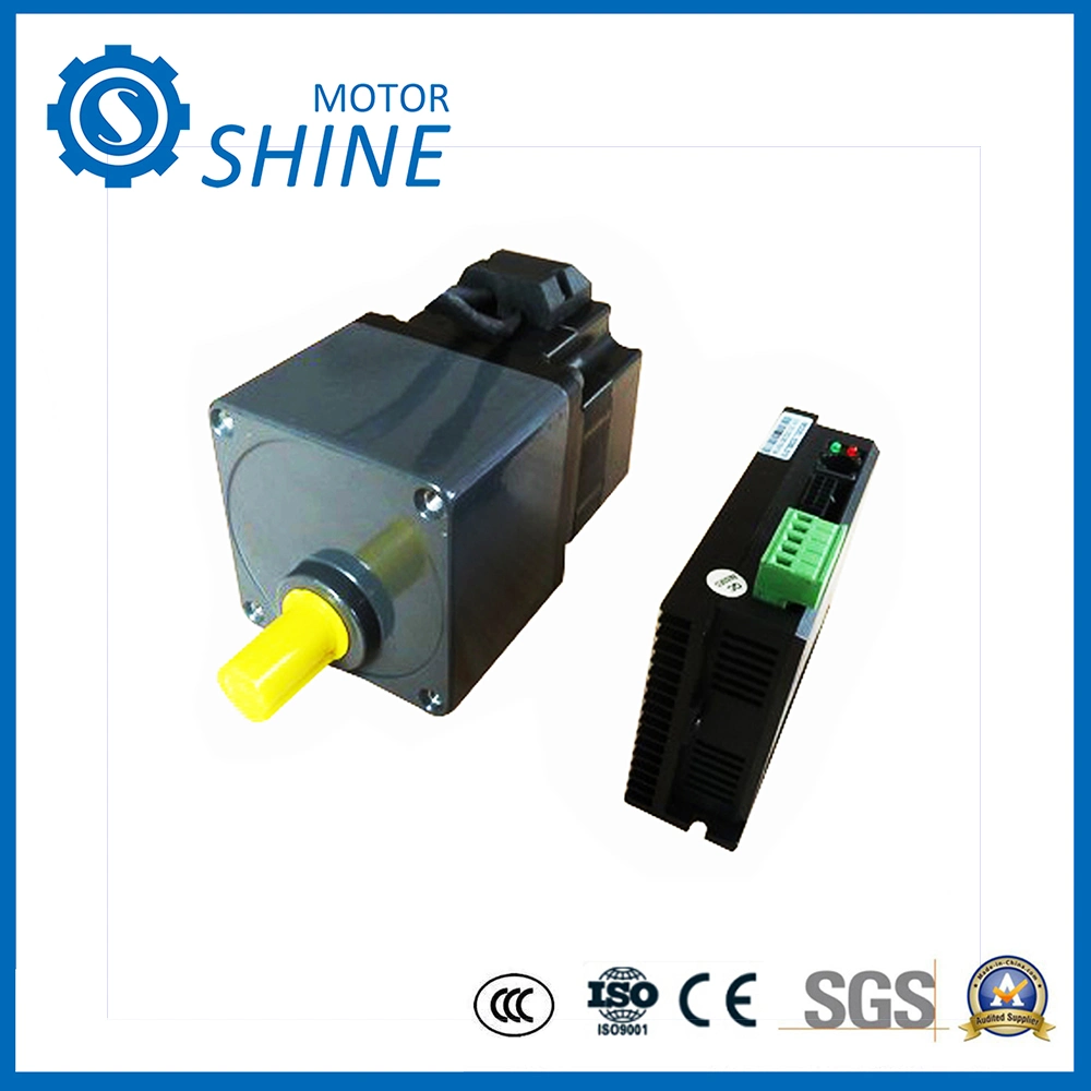 Micro BLDC Worm Gear Electric Car DC Motor for Sliding Gate