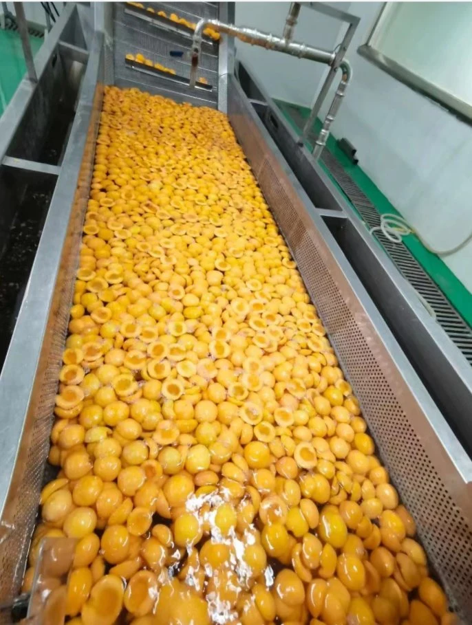 Haute qualité, de pêchers surgelés IQF Peach, fabricant de fruits congelés en provenance de Chine