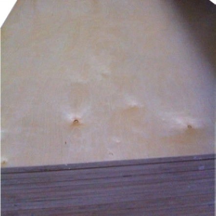 Hot Sale Construction Use Full Birch Plywood 1250X2500X12mm Exterior Glue for Building Material