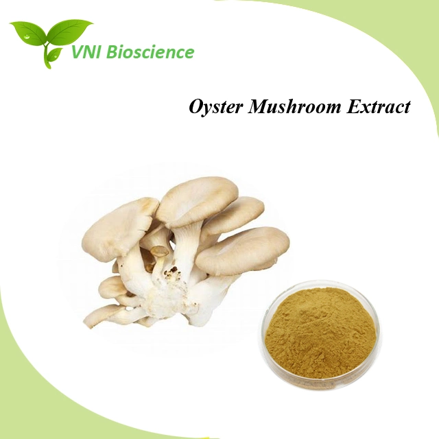 Kosher and Halal Certified 30% Polysaccharides Oyster Mushroom Extract