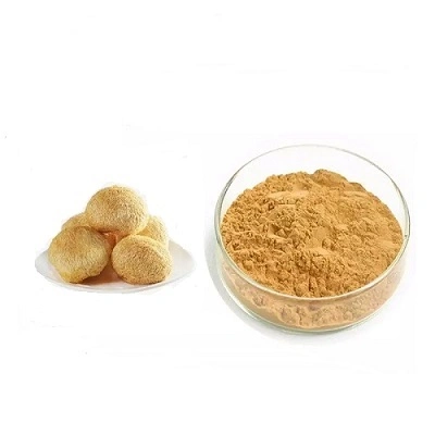 Natural Organic Hericium Fruit Body Ground Powder Lions Mane Mushrooms Extract