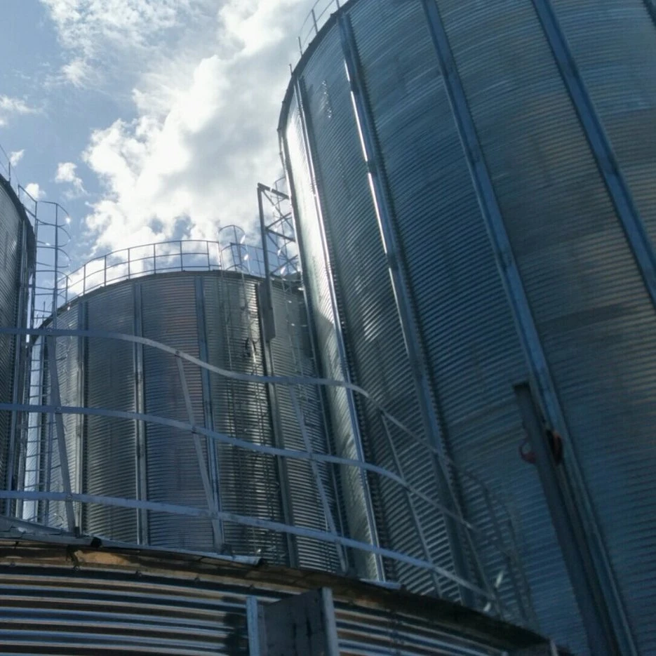 300t 500t 1000t 1500t 3000t Grain Silo for Sale