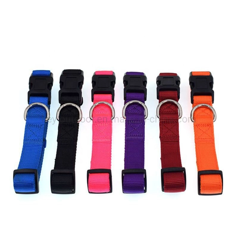 Wholesale/Supplier Personalized Multi Color Nylon Neoprene Padded O Ring Pet Dog Collars