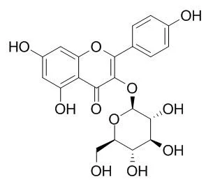 ISO Certified Reference Material 98%	Astragalin/Kaempferol 3-Glucoside 480-10-4 Standard Reagent