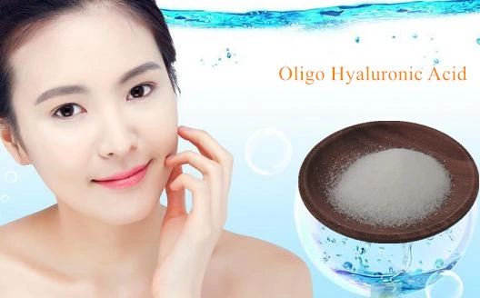 Supply Cosmetic Raw Materials Sodium Hyaluronate/Oligo Hyaluronic Acid 9004-61-9