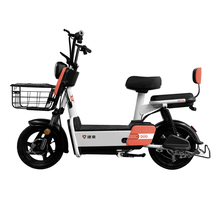 Vimode Cheap 250W 350W Adult off Road 2 Wheels Electric Bike From China