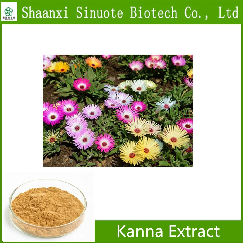 Factory Supply 100% Organic Kanna Extract for Lowering Pressure