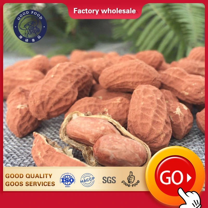 Wholesale/Supplier New Crop Salted Taste Roasted Peanut in Shell Healthy Delicous Salted