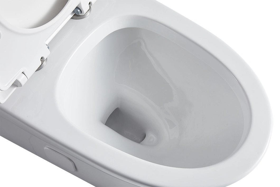 Seite Flush Keramik Wc Wasser Schrank Badezimmer Dual Flush Wc. Schüssel Sanitärware Großhandel/Lieferant