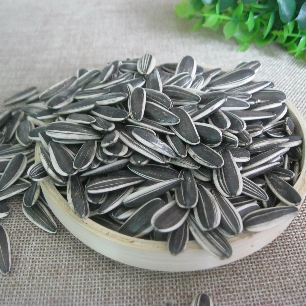 Hot Sale Sunflower Seeds From China