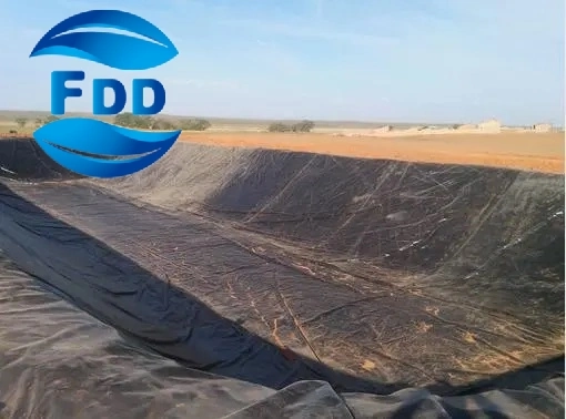 FDD 40mil 60mil 80mil HDPE Smooth/Textured Geomembrane, HDPE Sheet for Landfill/Shrmp/Dam/Biogas Project