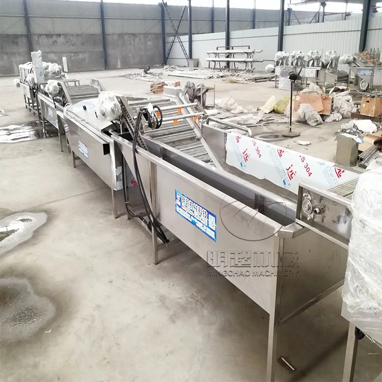 Automatic Commercial Fruit and Vegetable Bubble Washing Line