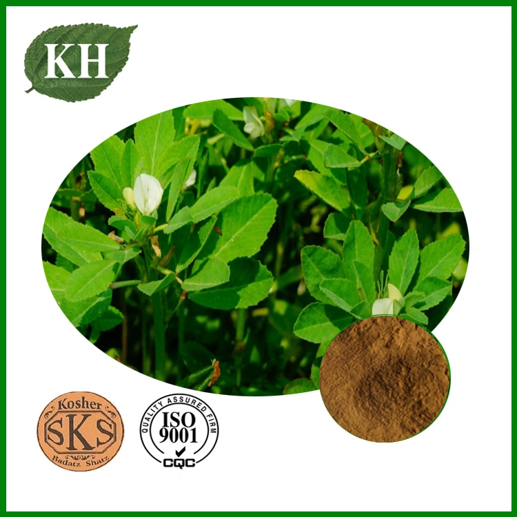 Fenugreek Seed Extract, Fenugreek Saponins 50%, Furostanol Saponins 50%