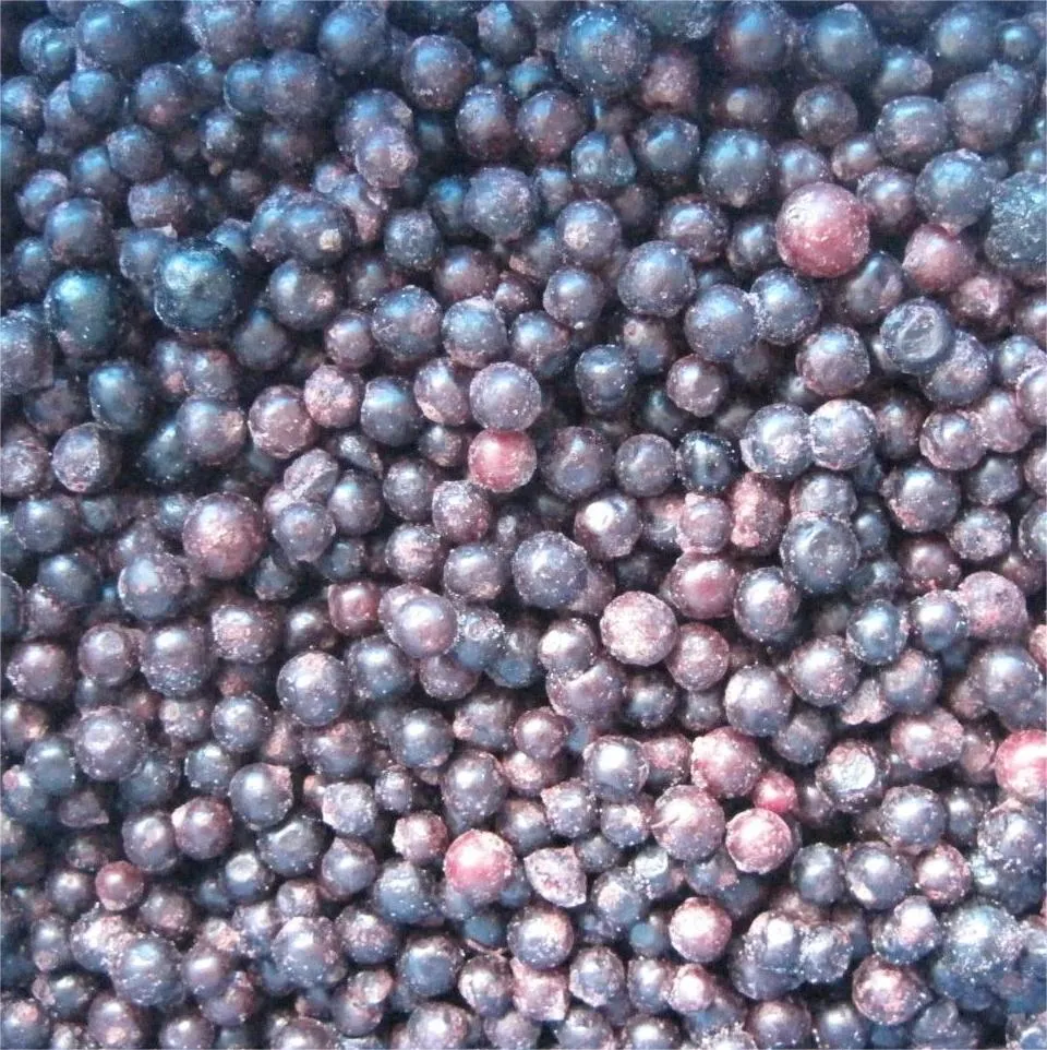 IQF Frozen Blueberry