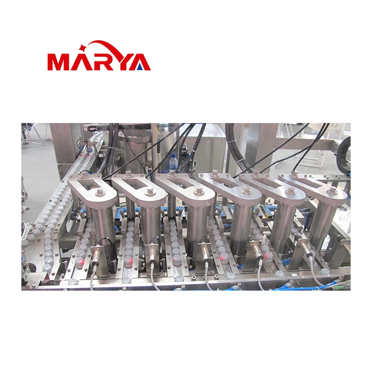 Shanghai Marya Fully Automatic High Speed Parenteral Nutrition/Normal Saline IV Non-PVC Bag Compact Filling Line