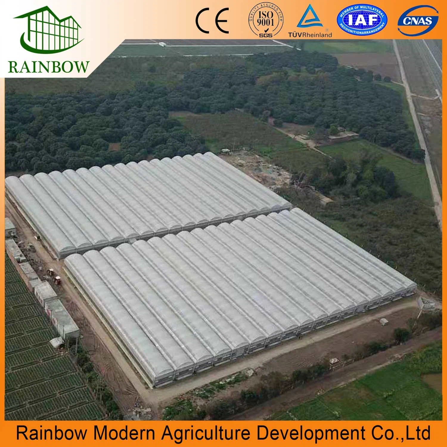 Multi-Span Tunnel Plastic Film Greenhouses for Sale