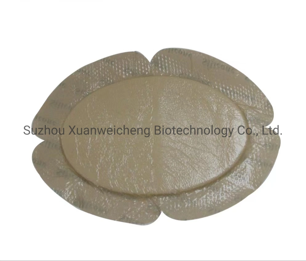 Disposable Sterile Medical Silicone Wound Foam Dressing Wound Care Environment Friendly Material/Adhesive Absorb