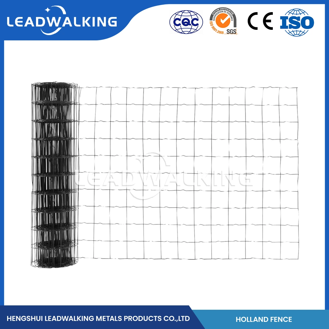 Plástico Leadwalking mallas soldadas con recubrimiento de alimentación de alta calidad de la fábrica de revestimiento de malla de alambre Powder-Coatedpvc holandés Esgrima China 2"x3 pulgadas holandesa Holanda malla de alambre