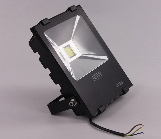 Professional 50 Watt Outdoor LED Flood Lights Fixtures (SLFI COB 50W)