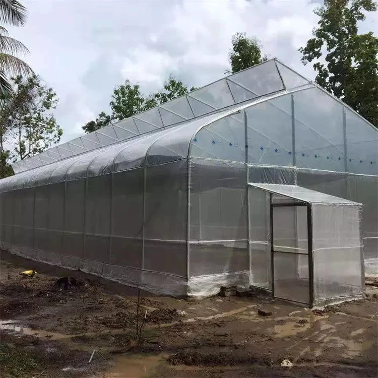 Tamaño personalizado sistema Aeroponico Comercial de plástico planta de sistemas hidropónicos Po Cine Greenhouse