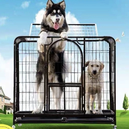 Customize OEM ODM Metal Stainless Kennels Pet Transport Cage Dog Crate