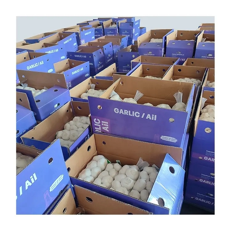 Fresh Garlic High quality/High cost performance 500g Net Bag Chinese Red Garlic Wholesale/Supplier Normal White Garlic