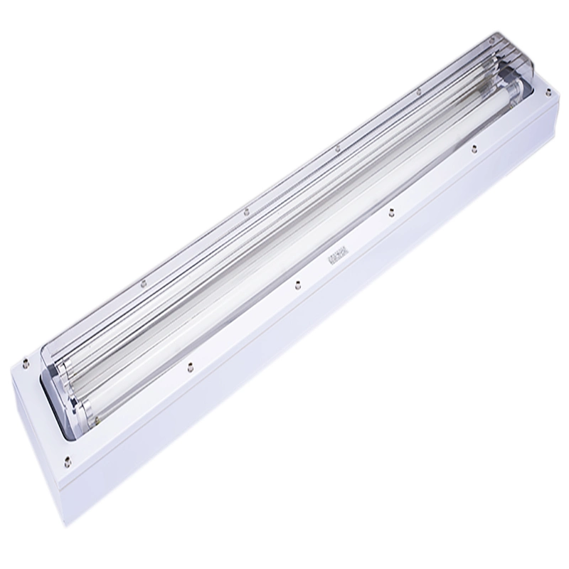 IP67 Corps en métal certifié 0,5 mm PC Diffuseur Luminaire à tube en acier inoxydable