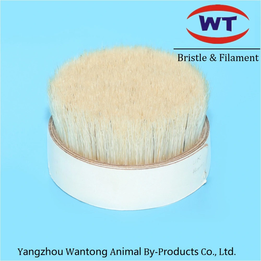 Round Brush Soft White Natural Bristles