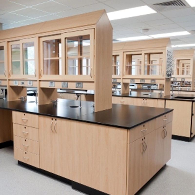 High quality/High cost performance Custom Medical Hospital Wood Microbiology Lab Furniture in China