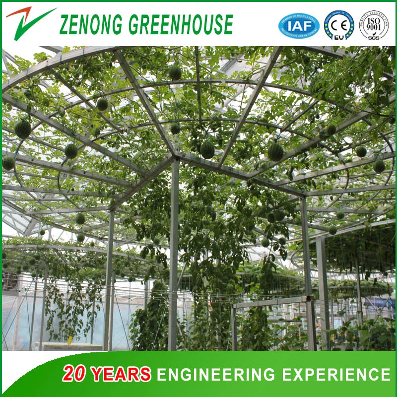 Agriculture Low Cost Smart PC Greenhouse with Hydroponic Growing System