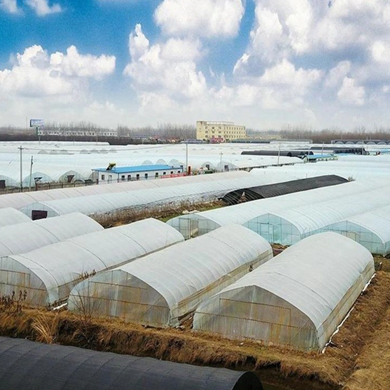 Affordable Personalized Hot-Rolled Garden Shed Multi Span Steel Structure Tunnel Greenhouse